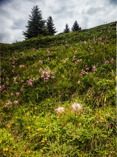 Hike 3 3438